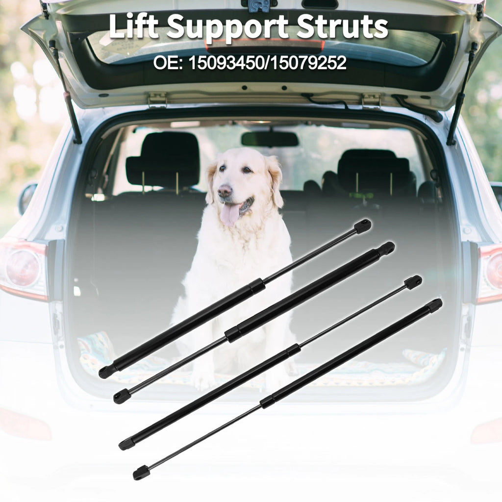 Rear Window Glass & Lift Supports Struts for Buick Rainier (2004–2007)