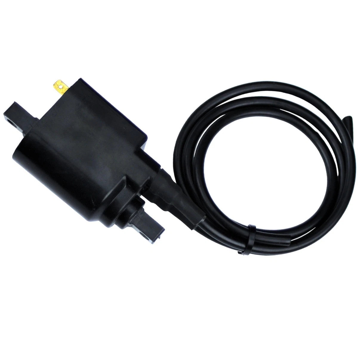 Ignition Coil for SeaDoo GTI GTS GTX HX SP SPI SPX (580 587 650 657)