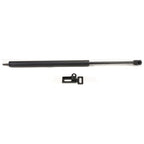 Liftgate Lift Supports for Driver & Passenger Side (Set of 2)