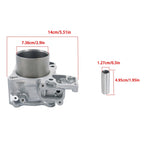 Cylinder Piston Kit for Honda NSS 300 A Forza (2013â2020)