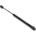 Trunk Lid Lift Support for Buick Century Regal (1997–1999)