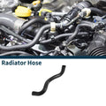 Radiator Hose No. 1657231191 for Toyota Reiz (2006–2007)