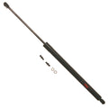 Hatch Lift Support for Honda Odyssey (1999–2002)