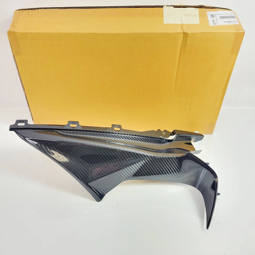 OEM Carbon Fiber Left Side Cover Panel Fairing for BMW S1000RR (2019–2023)