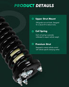 Complete Struts Springs Assembly for Honda Accord (2003–2007)