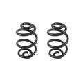 Set of 2 Rear Coil Springs for BMW E46 320i 323i 325i 328i 330i