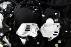 Engine Guard Sprocket Chain Case Stator Cover for Kawasaki Z900RS (2017–2018)