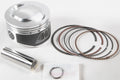 Piston Kit Armorglide 91.00/Std 12:1 for
