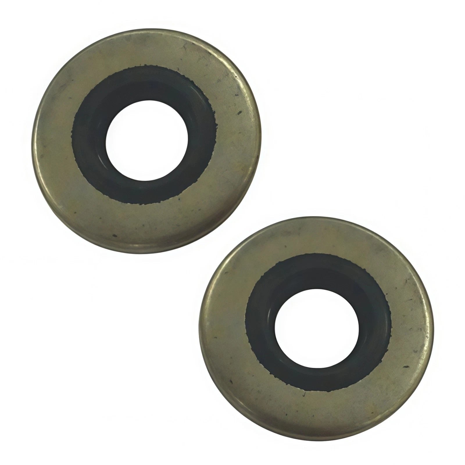 2Pcs Oil Seal for Evinrude Johnson Outboard (318973, 321480)