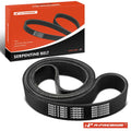 Serpentine Belt for Ford CL9000, Freightliner FL112, FLD112 