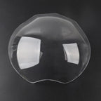 Front Headlight Screen Lens Cover for Ducati Monster 821 1200 (2014-2018)