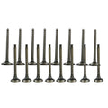 Exhaust & Intake Valves for Hyundai Accent (2001–2011) & Kia Rio (2006–2010) 1.6L L4 DOHC