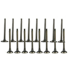 Exhaust & Intake Valves for Hyundai Accent (2001–2011) & Kia Rio (2006–2010) 1.6L L4 DOHC