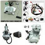 250cc Air Cooled Engine for Chinese Motorbikes (Zongshen)