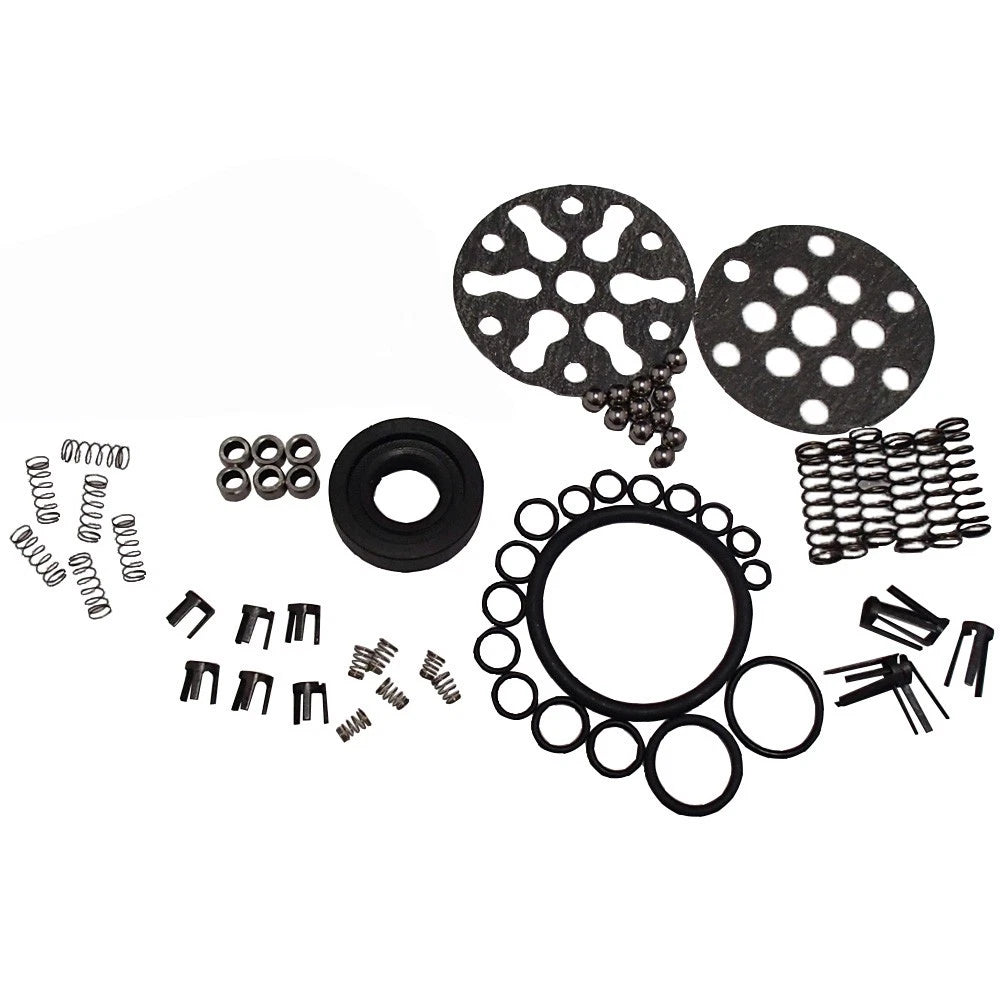 Pump Repair Kit for Ford/New Holland (1101-1009)
