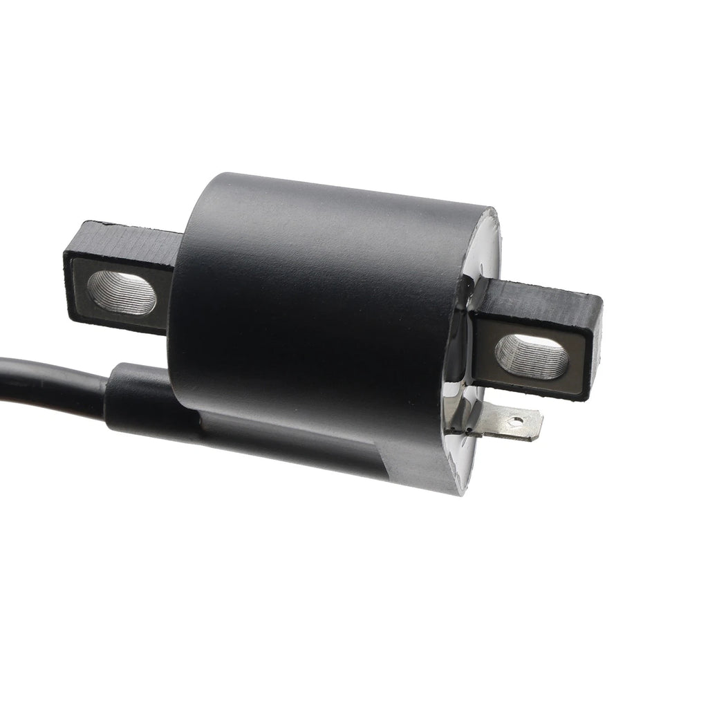 CDI Box Igniter for Polaris Predator 50 90, Can-Am Mini DS 50 90 (2000–2023)
