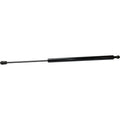Lift Support for Hyundai Tiburon (2003–2007) Left & Right