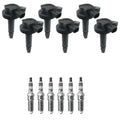 Set of 6 Ignition Coils & NGK Ruthenium Spark Plugs for Ford Edge F-150 (2009–2014)