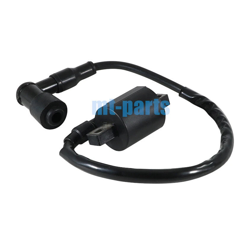 Ignition Coil for Suzuki FB100 LT250R QuadRacer 250 (1985–2000)