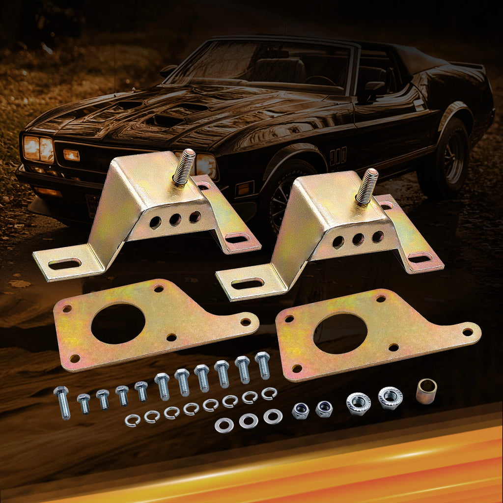 Solid Motor Mounts & Swap Adapter Plates for Mustang (1994-2004)