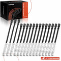 16x Spark Plug Wire Set for Mercedes-Benz C215 CL500 (1998–2005)