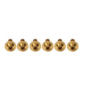 Set of 6 M5x15mm Torx Head Screws for Universal Bike Motorcycle Gold