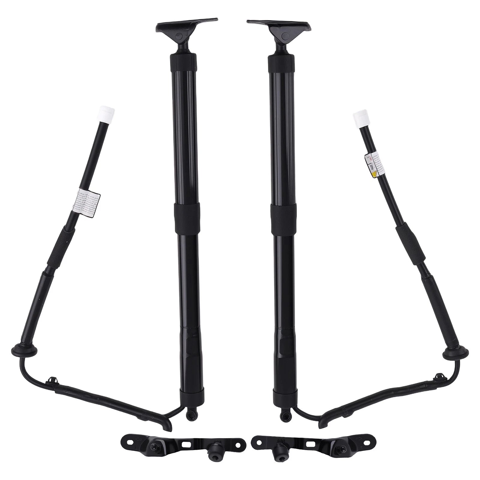 2PC Tailgate Lift Support Shock for Toyota RAV4 Limited (2019–2023)
