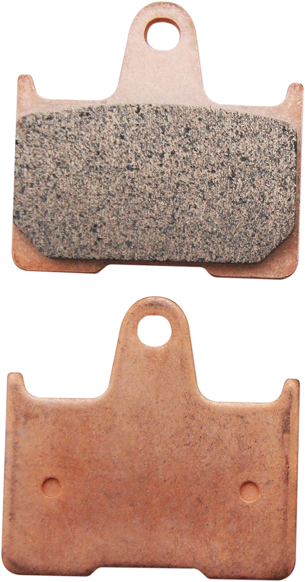 Sintered Metal Brake Pads for Harley-Davidson Sportster (FAD254HH)