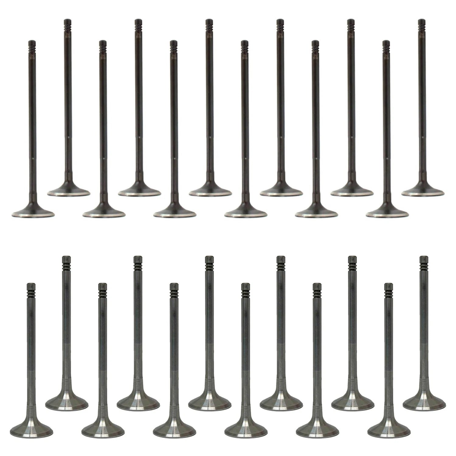 Set of 24 Intake & Exhaust Valves for Audi A3 TT Quattro CC Eos Passat V6