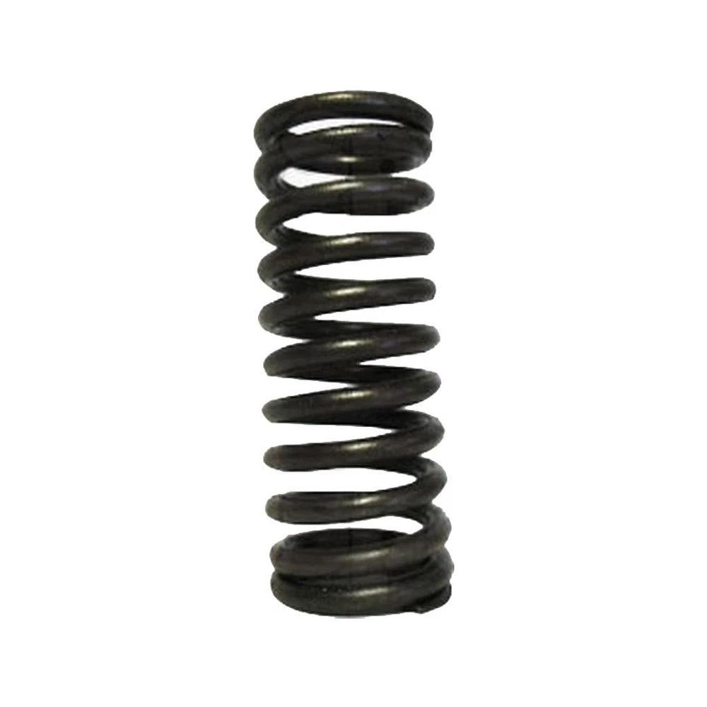 Valve Spring for Ford/New Holland (8N6513)