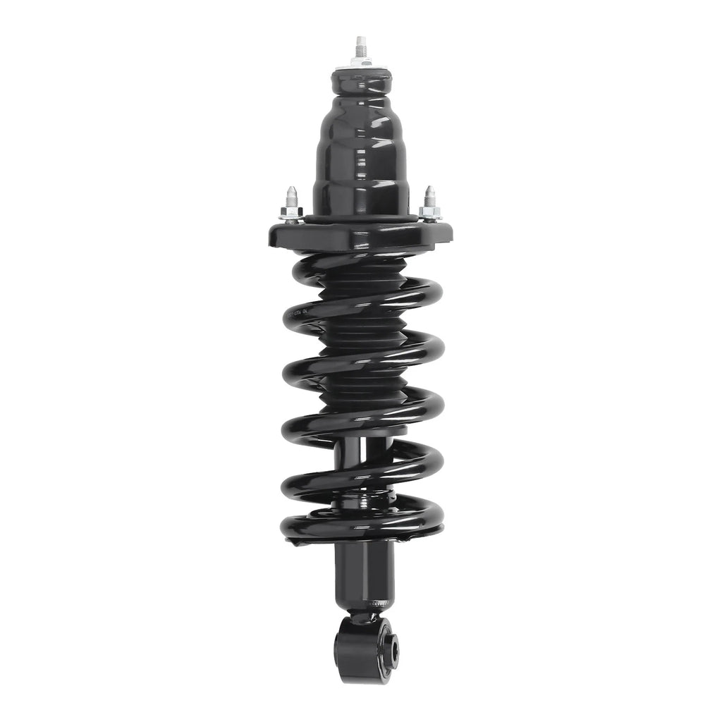 Pair Rear Strut for Honda Element (2003–2011)