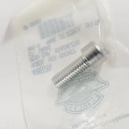 Screw Hex Socket Head Cap for Harley-Davidson (4087A)