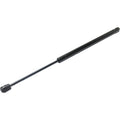 Lift Support for Dodge Caliber (2007–2009)