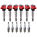Set of 6 Ignition Coils & NGK Platinum Spark Plugs for Audi VW Porsche 3.0L V6
