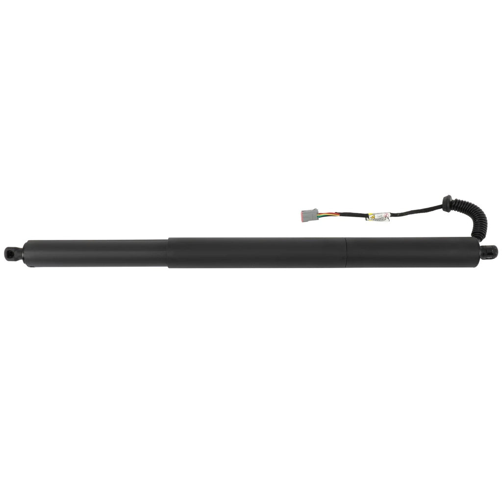 Liftgate Lift Support Shock Strut for Jeep Cherokee (2020)