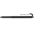 Liftgate Lift Support Shock Strut for Jeep Cherokee (2020)