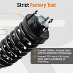 Front Pair Quick Complete Struts & Coil Spring for Ford Crown Victoria (2003–2011)