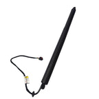 Liftgate Lift Supports for Jaguar F-Pace (2017-2019)