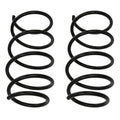 2X Coil Springs for BMW E36 318i 318is (1991–1998)