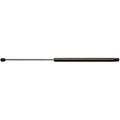 Liftgate Lift Supports for Strong Arm (Driver or Passenger Side)