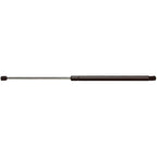 Liftgate Lift Supports for Strong Arm (Driver or Passenger Side)