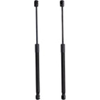 Set of 2 Liftgate Struts for Kia Niro