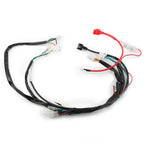 Electric Wiring Harness for Chinese ATV UTV GoKart Taotao 50CC-125CC