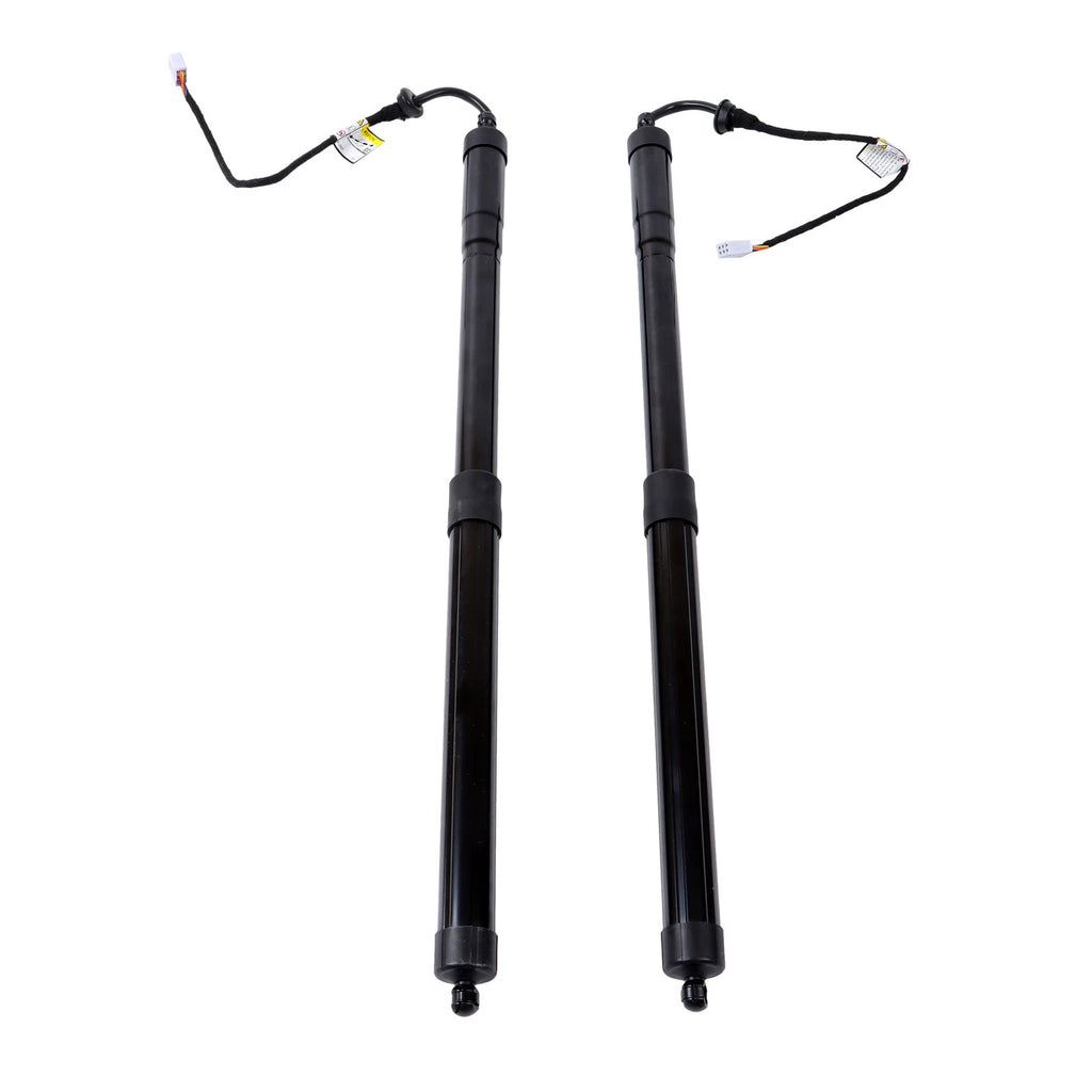 Tailgate Support Bar for Lexus RX350 RX450h (2016-2019)
