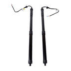 Tailgate Support Bar for Lexus RX350 RX450h (2016-2019)