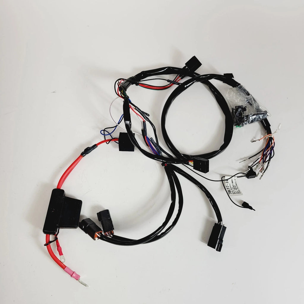 LED Wire Harness for Harley-Davidson Police Tour Pack (70697-10)