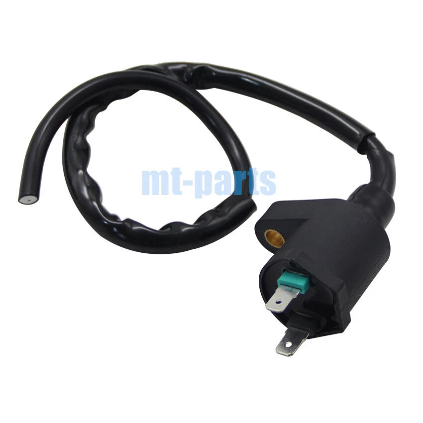 Ignition Coil for Yamaha Raptor 90 YFM90R (2009–2013) 43D-H2310-00