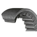 Belt, Fan for Case-IH Tractor (68386C1)