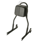 Detachable Passenger Backrest Sissy Bar for Harley Softail Fatboy (2000–2023)