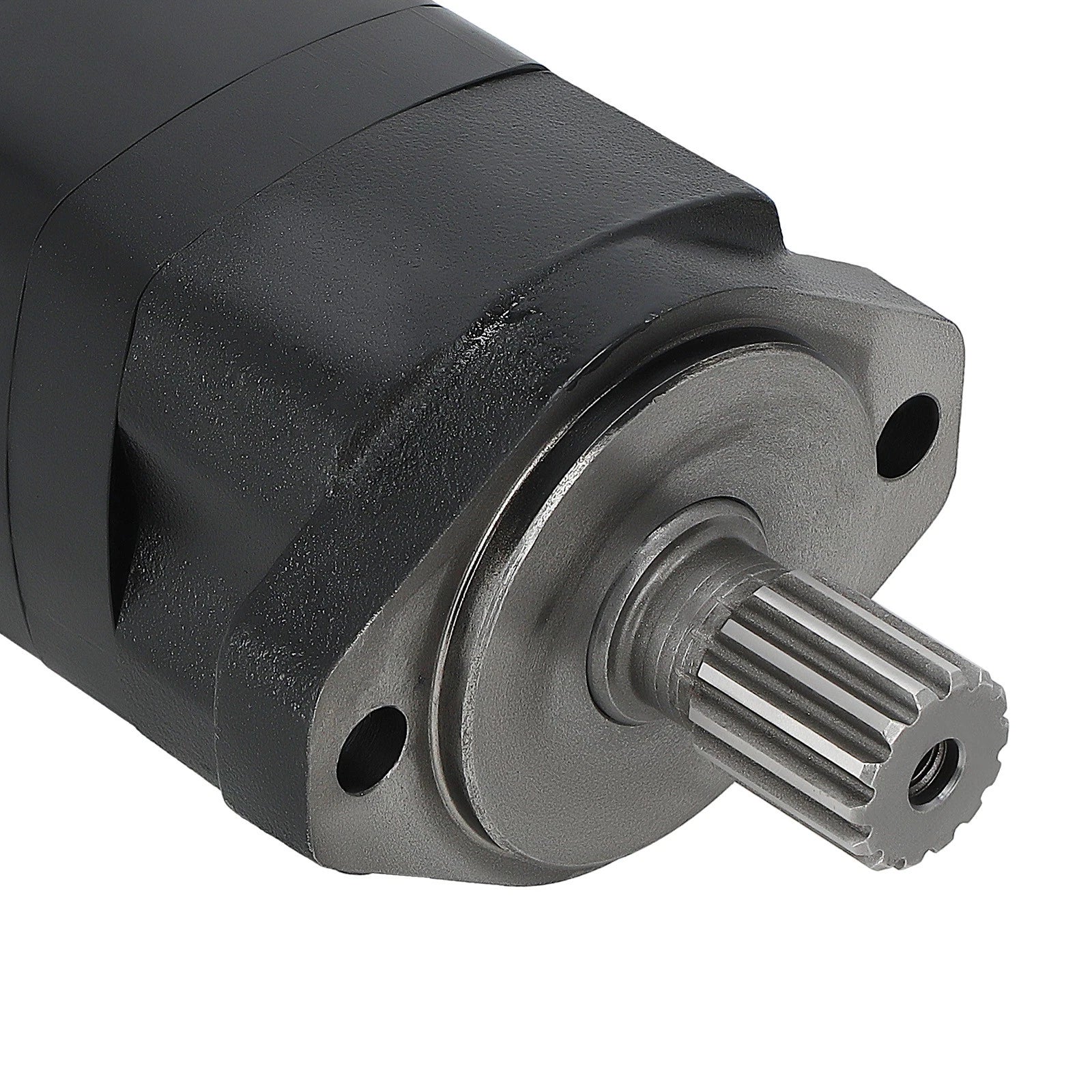 Hydraulic Motor for Eaton Char-Lynn 2000 Series (24.03 CID, 2 Mount) (2000–2000)